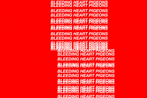 Cover image: Bleeding Heart Pigeons ‘Stir’