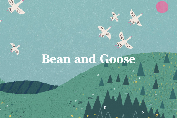 Cover image: Bean & Goose Packaging