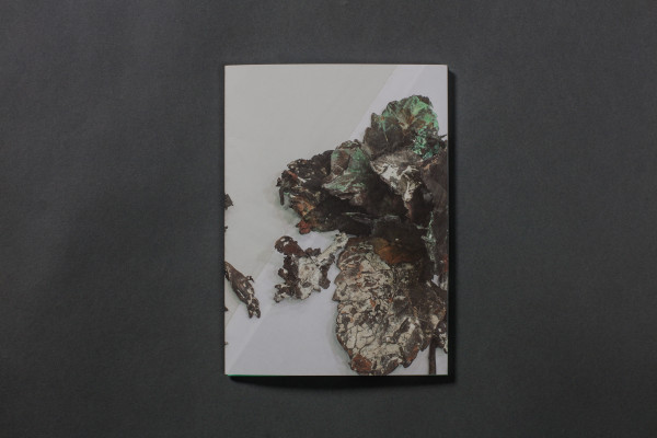 Cover image: Abbas Akhavan: variations on a garden