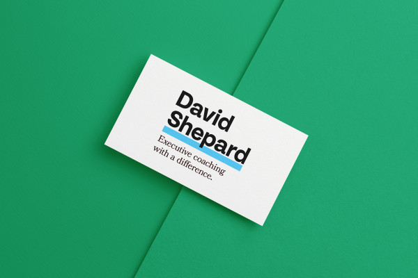 Cover image: David Shepard Identity