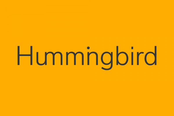 Cover image: Hummingbird Brand Identity