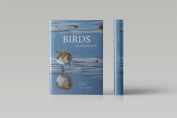 Cover image: Birds of Holy Island