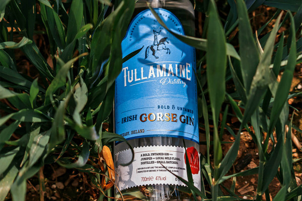 Cover image: Brand Identity and Packaging Design for Tullamaine Distillery