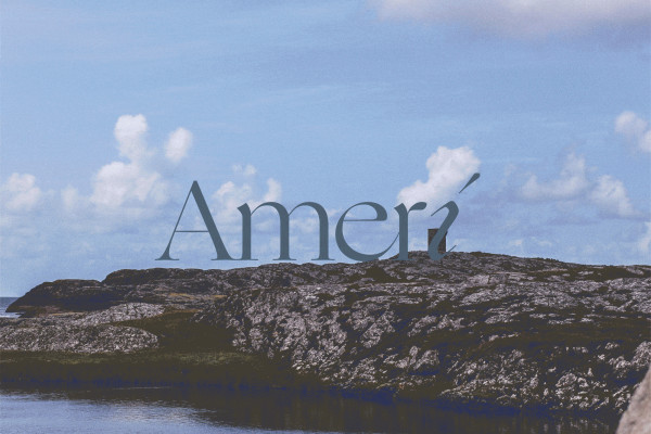 Cover image: Amerí