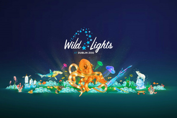 Cover image: Wild Lights