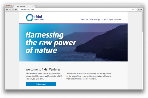 Cover image: Tidal Ventures website (2013)