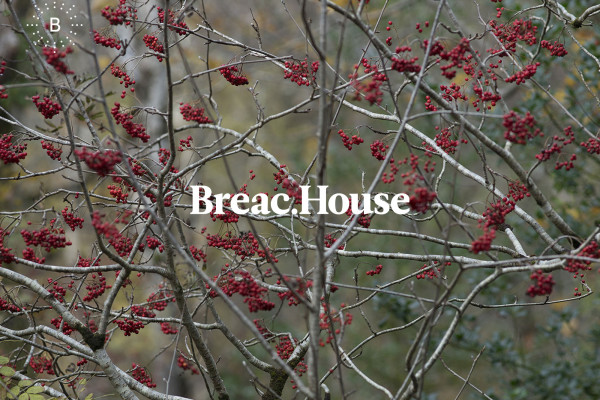 Cover image: Breac.House