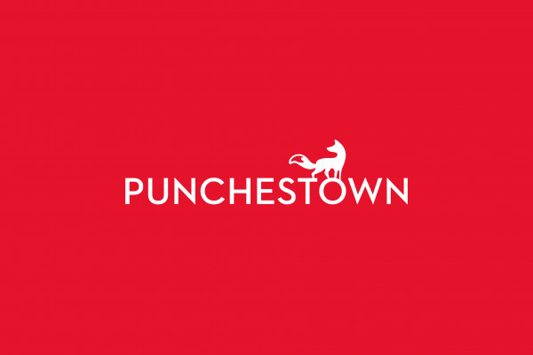 Cover image: Punchestown Branding