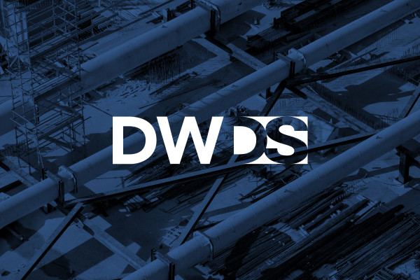 Cover image: DWDS