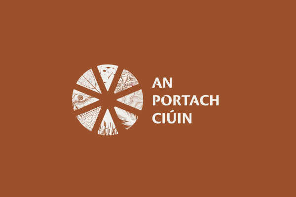 Cover image: An Portach Ciúin