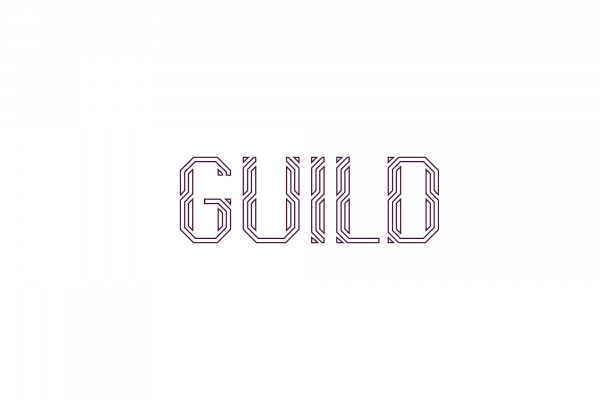 Cover image: GUILD Identity (2013)