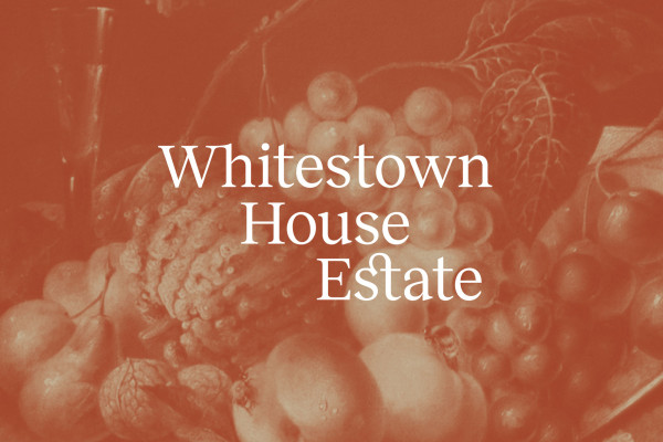 Cover image: Whitestown House Estate