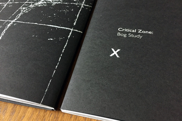 Cover image: Critical Zone: Bog Study