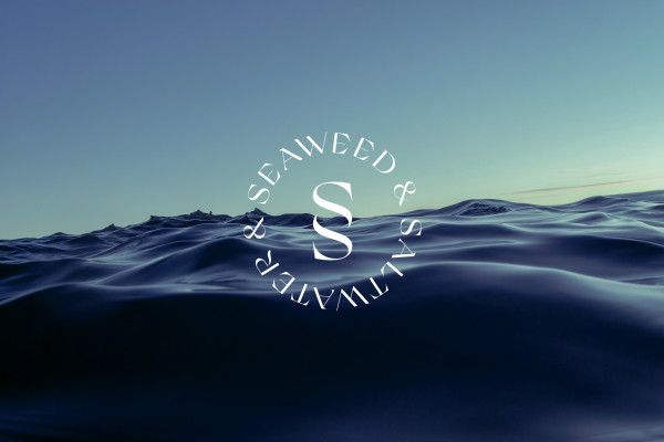 Cover image: Seaweed & Saltwater — Branding